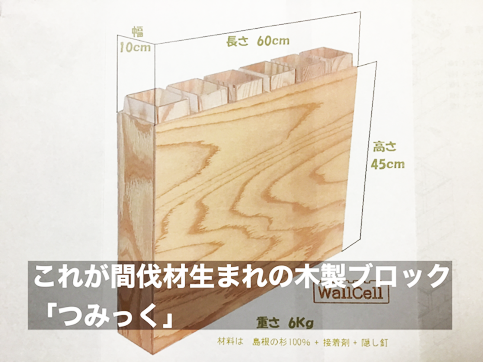 つみっくのイラスト